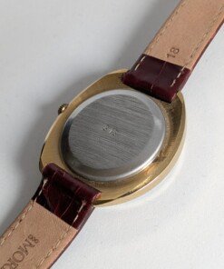 raketa-orologio-parco-autobus-6-leningrado-cccp